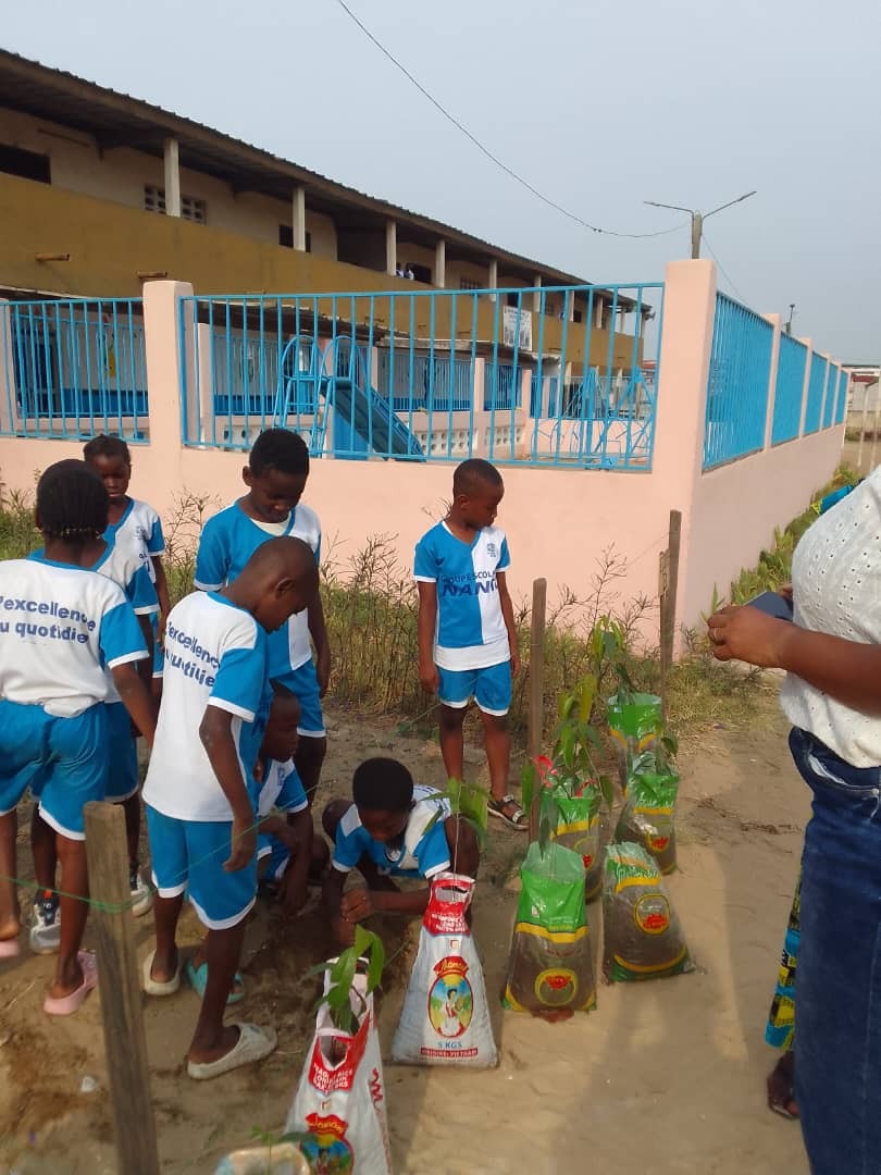 Élèves plantant des jeunes plants